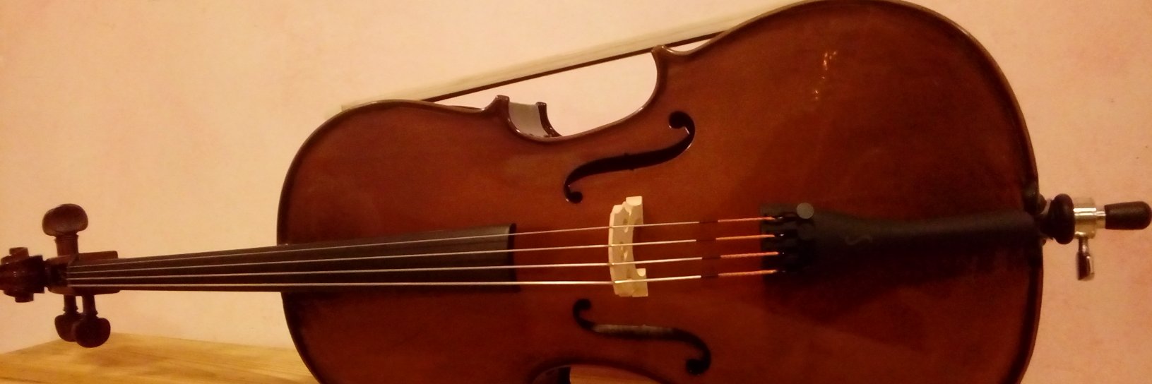 Lanubemusical's profile banner image