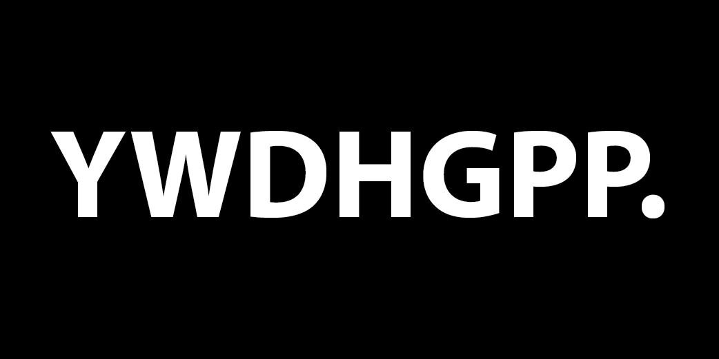 ywdhgpp's profile banner image