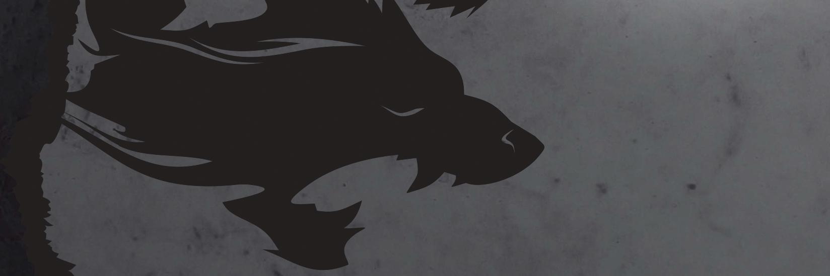 jmskroll's profile banner image