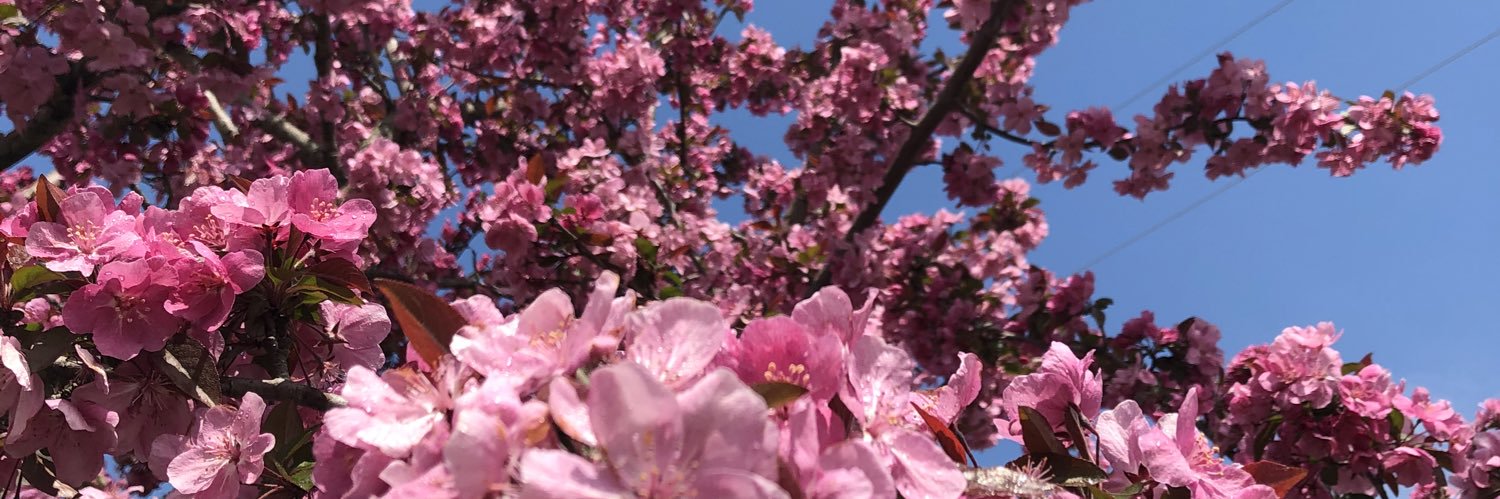noellej21's profile banner image