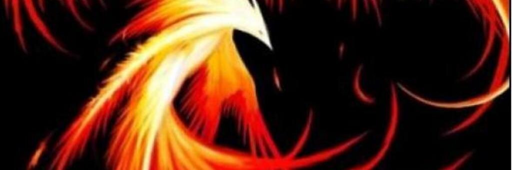 Tigerzuri's profile banner image