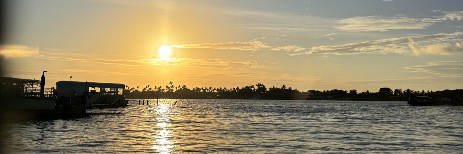 flvarini's profile banner image