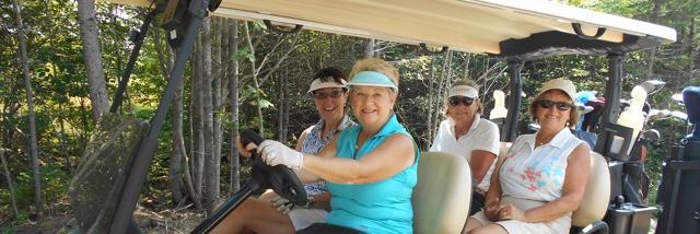 Metro Ladies Golf banner
