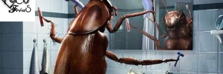 tibuuron's profile banner image