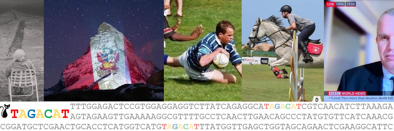 Patrick Wieghardt banner