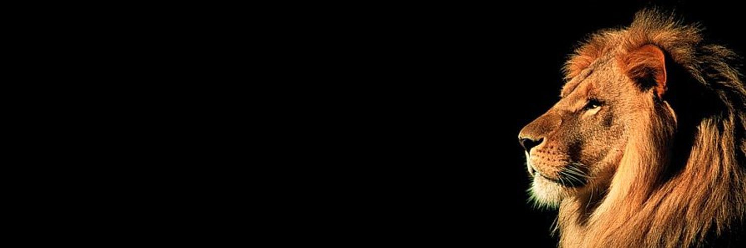 AnnaCHEYRON's profile banner image