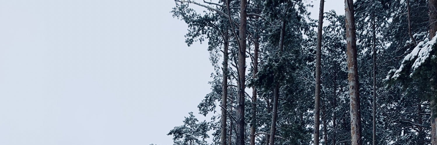 машенька banner