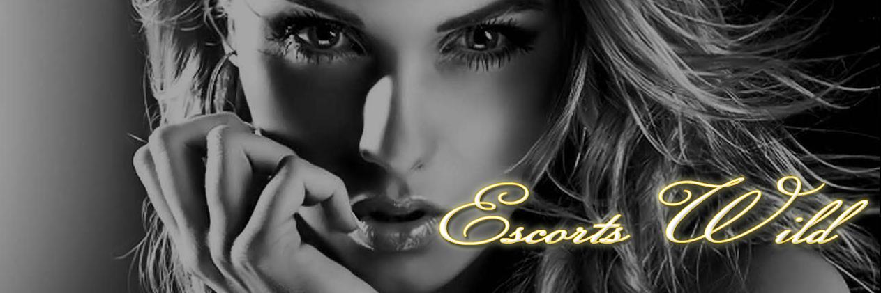 EscortsWild's profile banner image