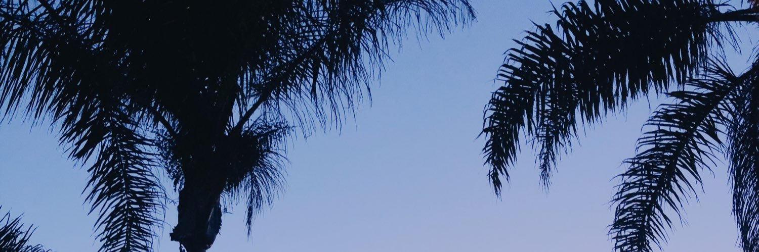 FoxMadie's profile banner image
