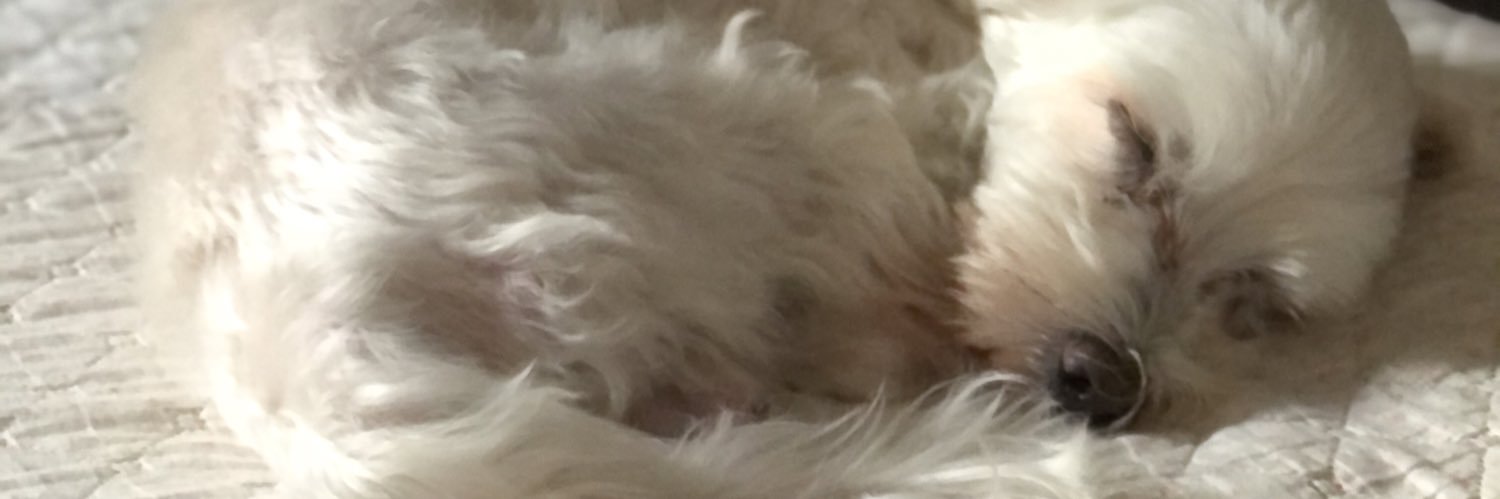 giovannarantes_'s profile banner image