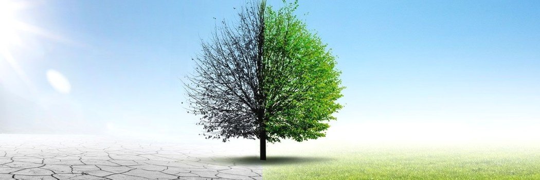 Troy E. MacDonald banner