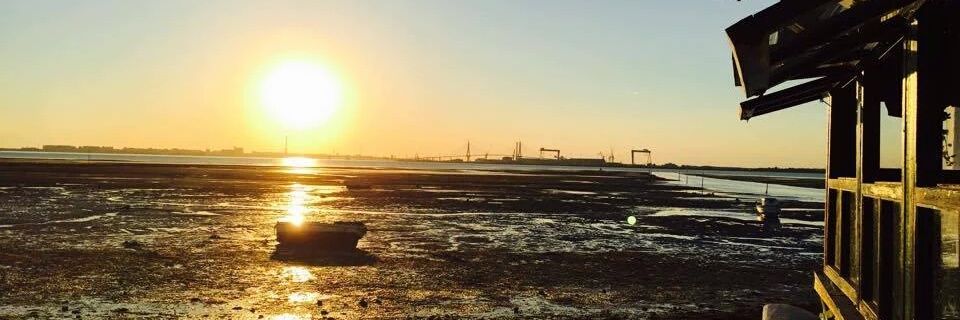 clarinacho's profile banner image