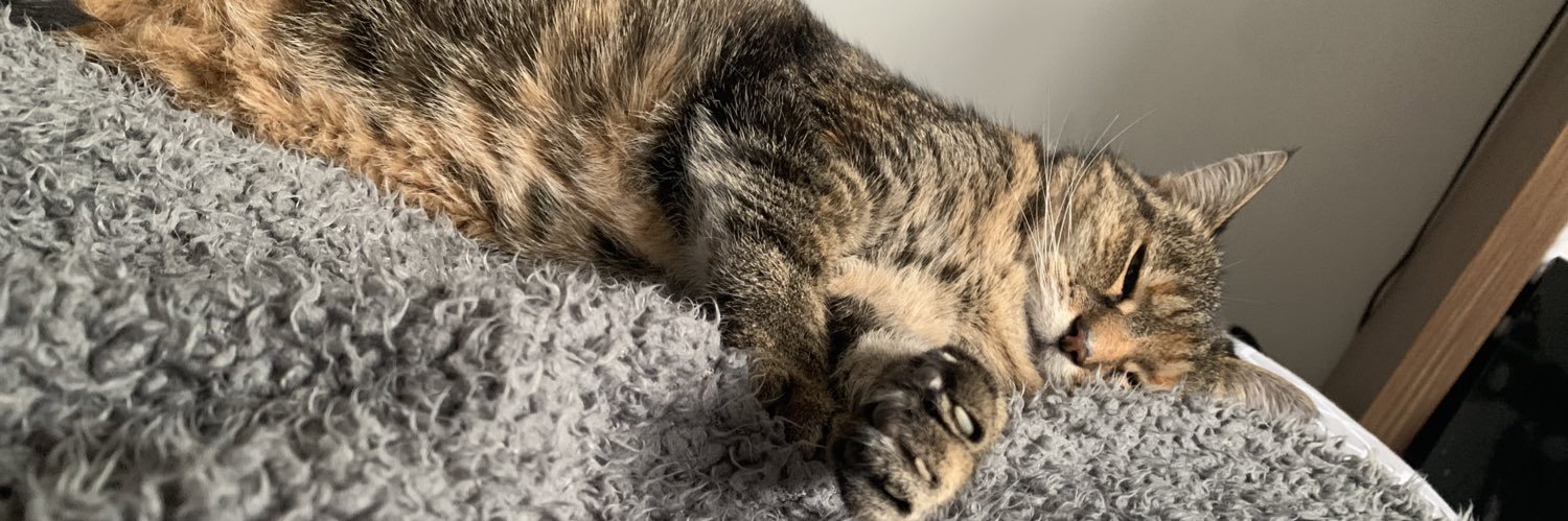 danniwilliams_'s profile banner image