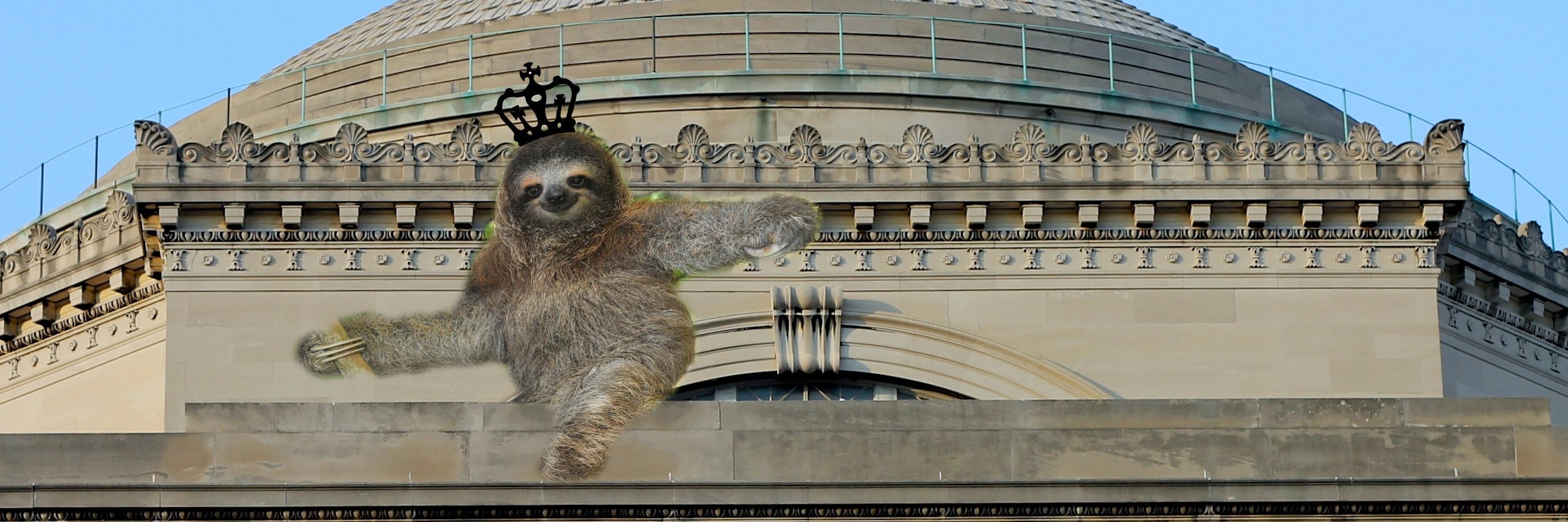 Columbia Sloth (@ColumbiaSloth) / Posts / X