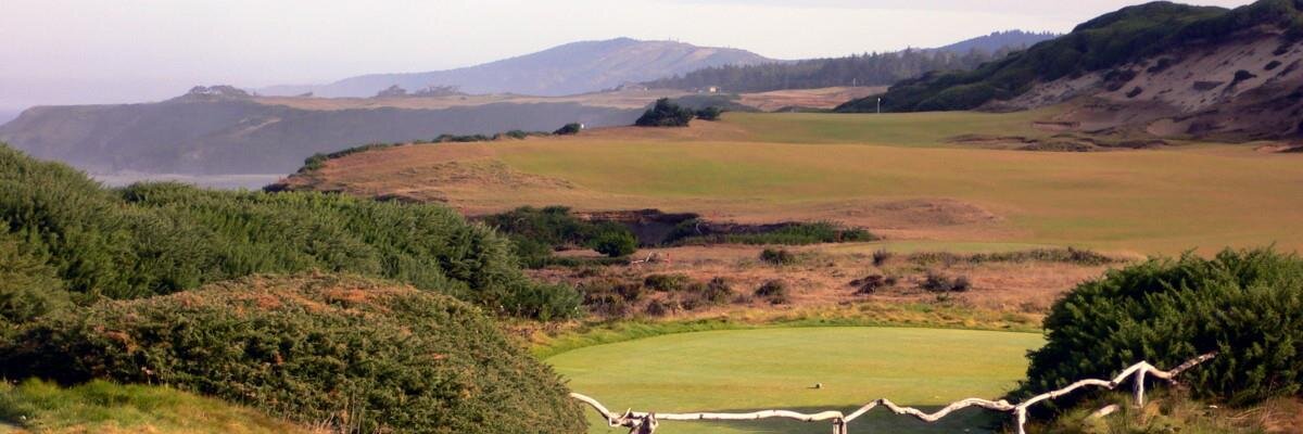 DrDanToothMan's profile banner image