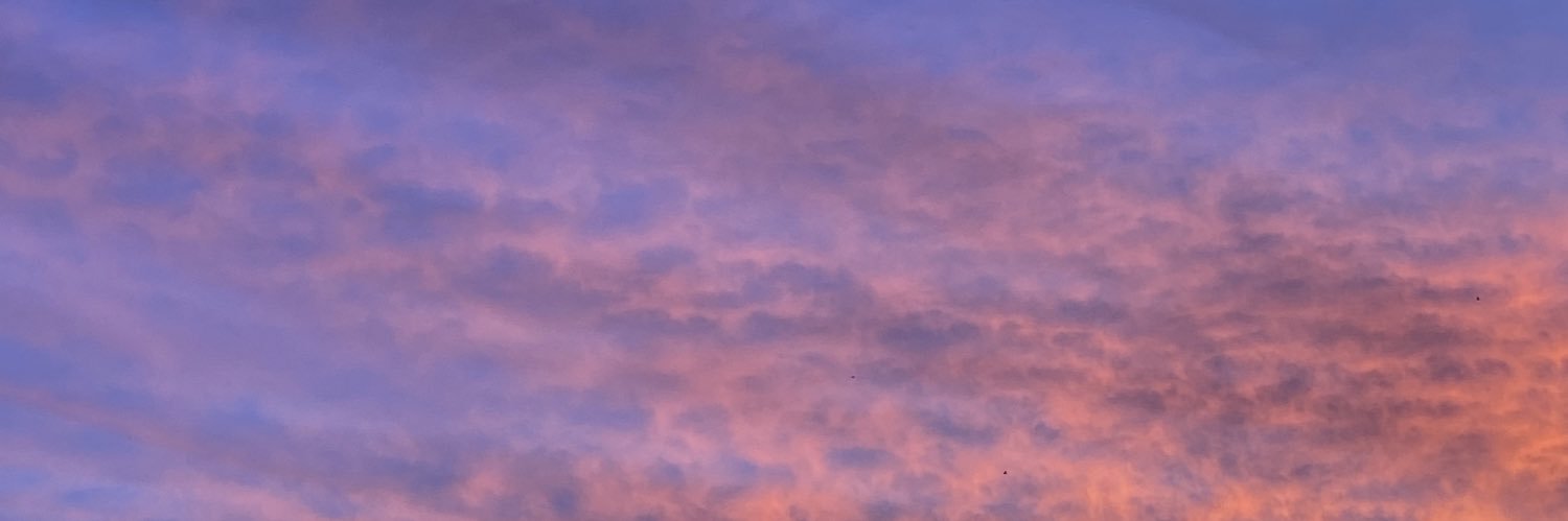 selna_bg's profile banner image