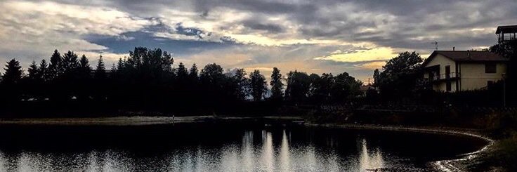 Antonella Consoli 🌺 banner