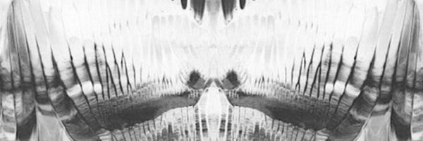 GeorgiaHardinge Profile Banner