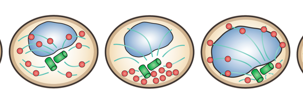 NK_papers Profile Banner