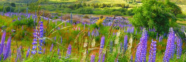 VeroVienne Profile Banner