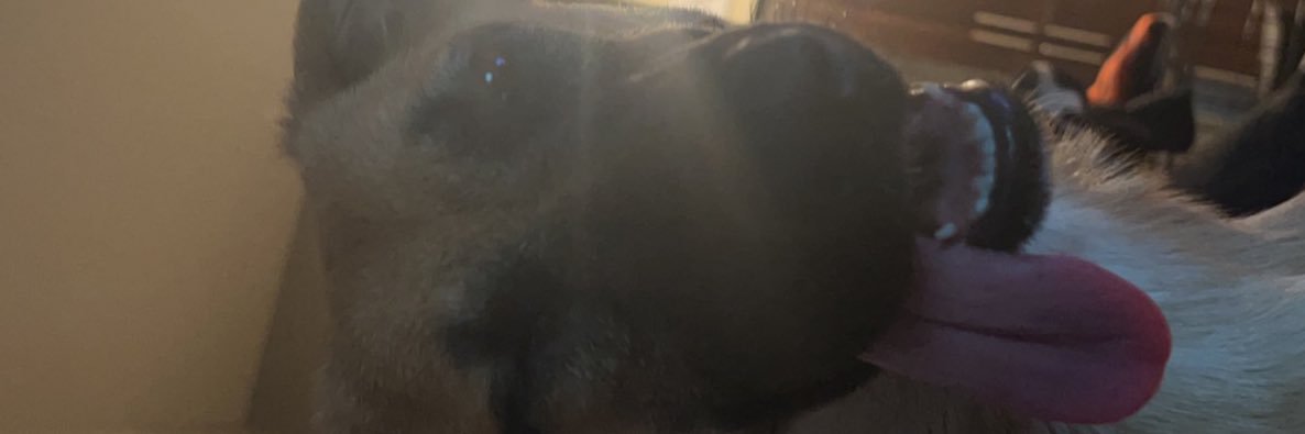 vosorio10's profile banner image