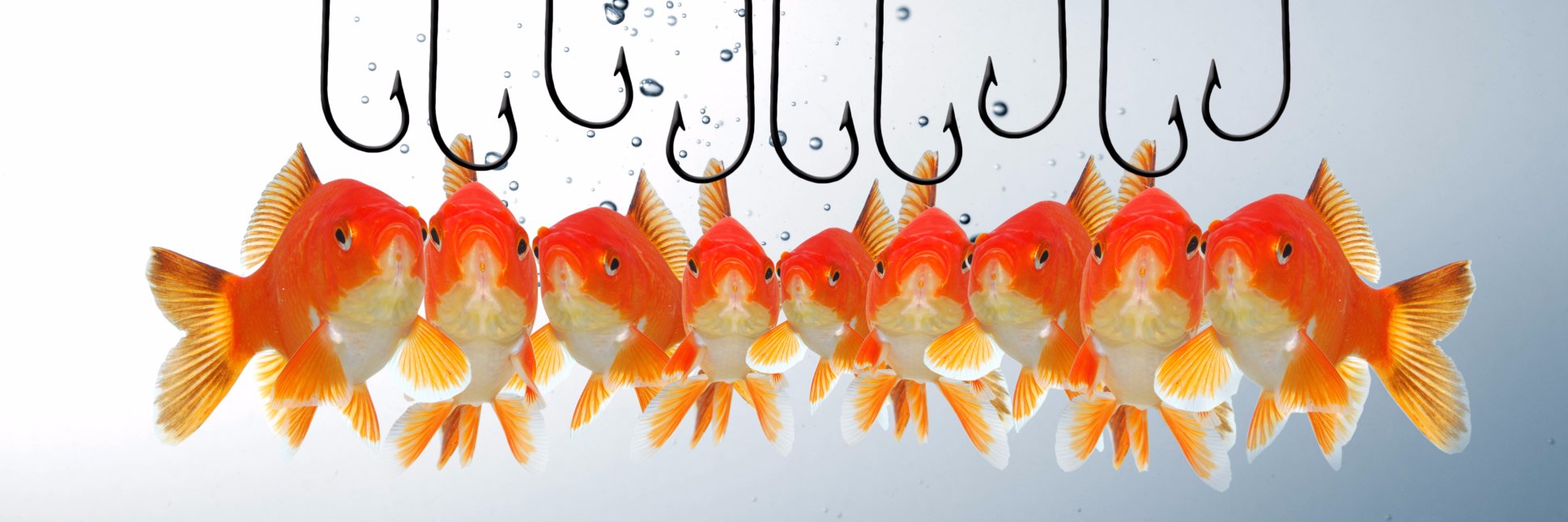 socialsaleseu's profile banner image