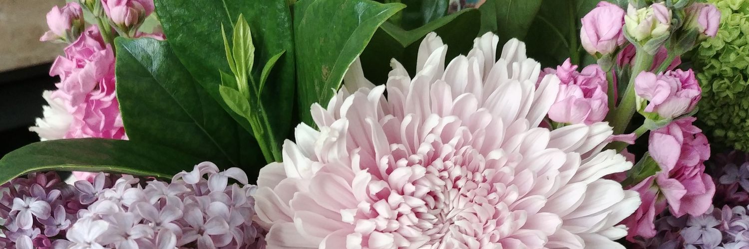 twelveeyes's profile banner image