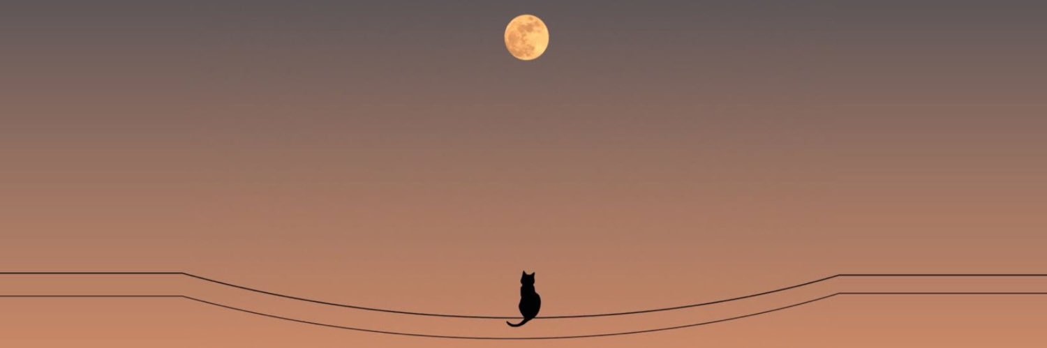 o_223's profile banner image