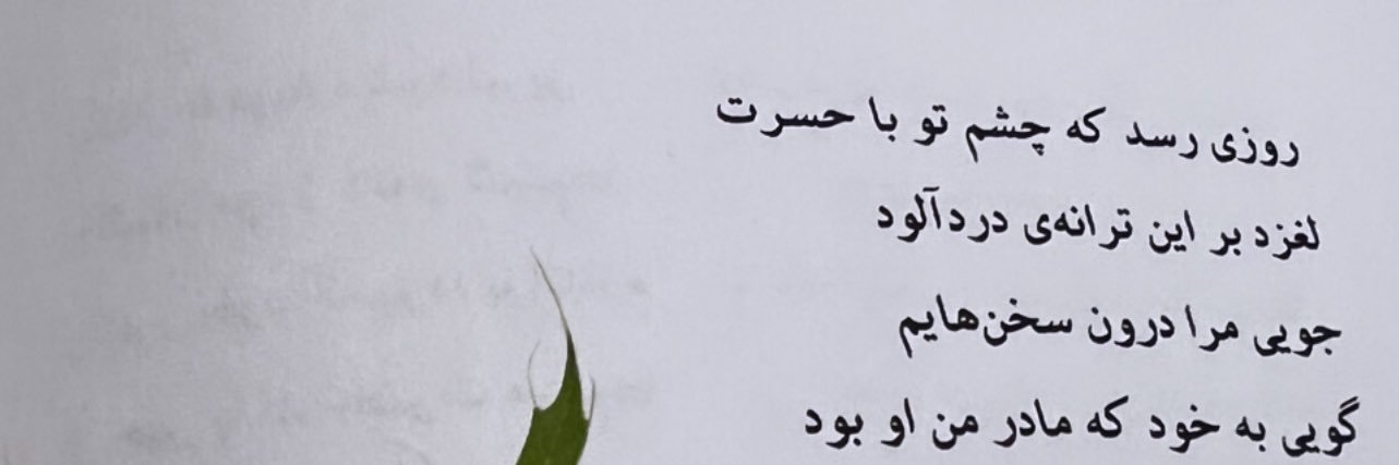 chloekhani's profile banner image