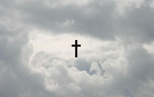 FREE FOLLOW|READ BIO banner