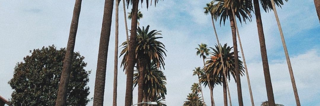 emiIIyIopes's profile banner image