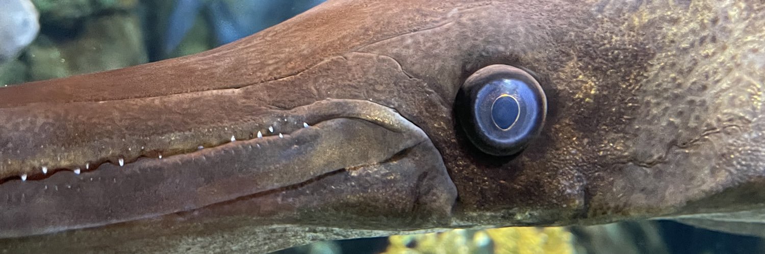 Dillon Burnett banner