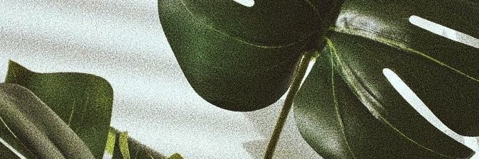 ayefrealsdoe's profile banner image