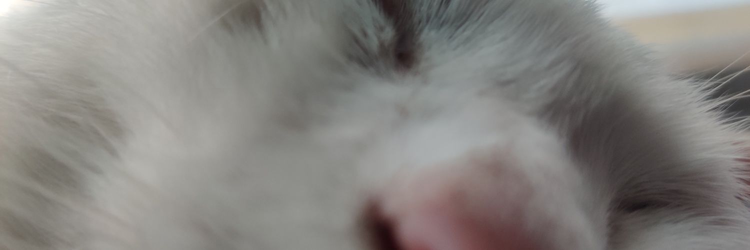 Aikalisa's profile banner image