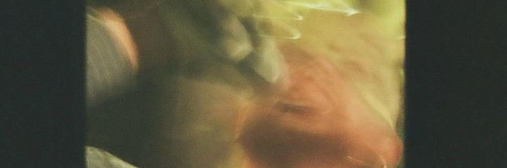 rextanky's profile banner image