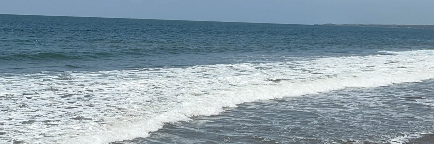 LemusKimberley's profile banner image
