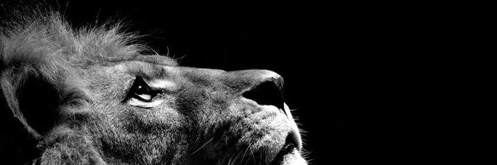 BenWatson_6's profile banner image