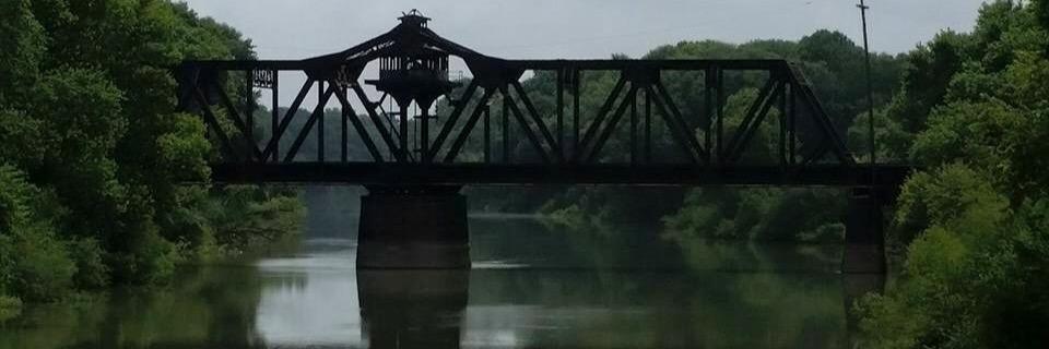 davis_freda's profile banner image