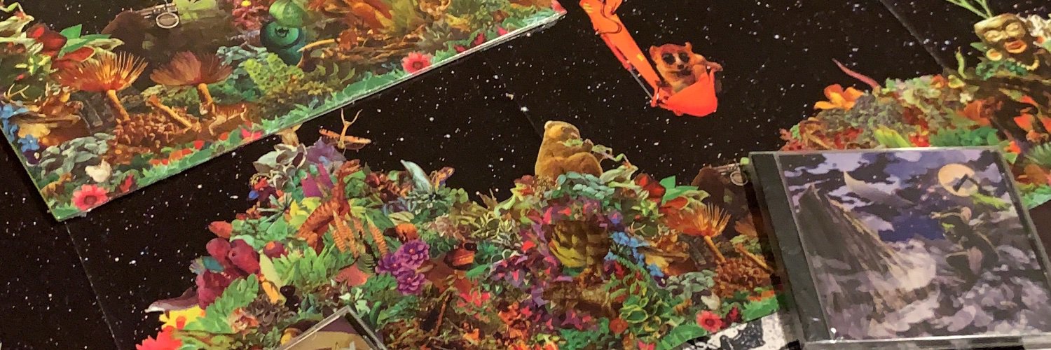 disko373's profile banner image