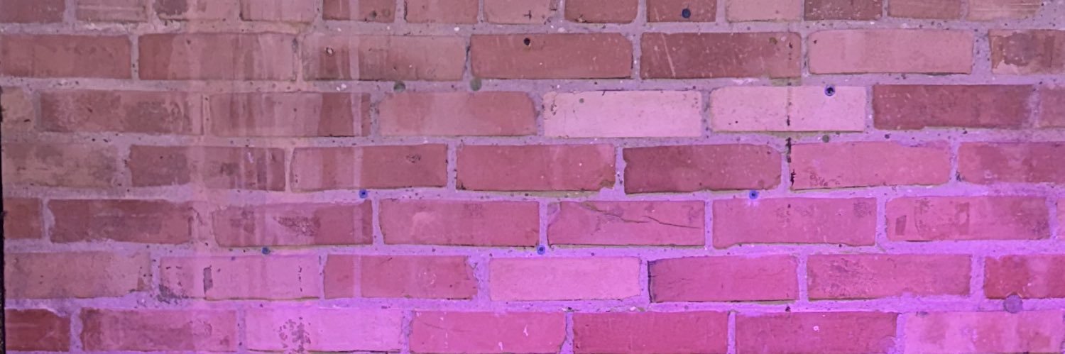 wondertate's profile banner image