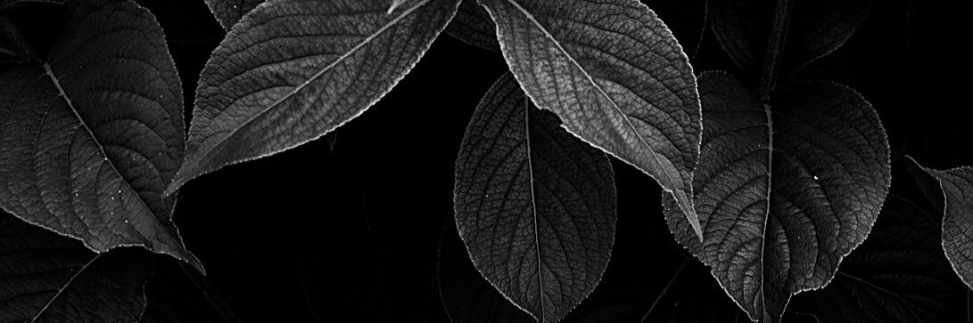 UnlovelyWriter's profile banner image