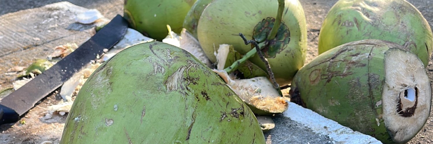 Água de coco banner