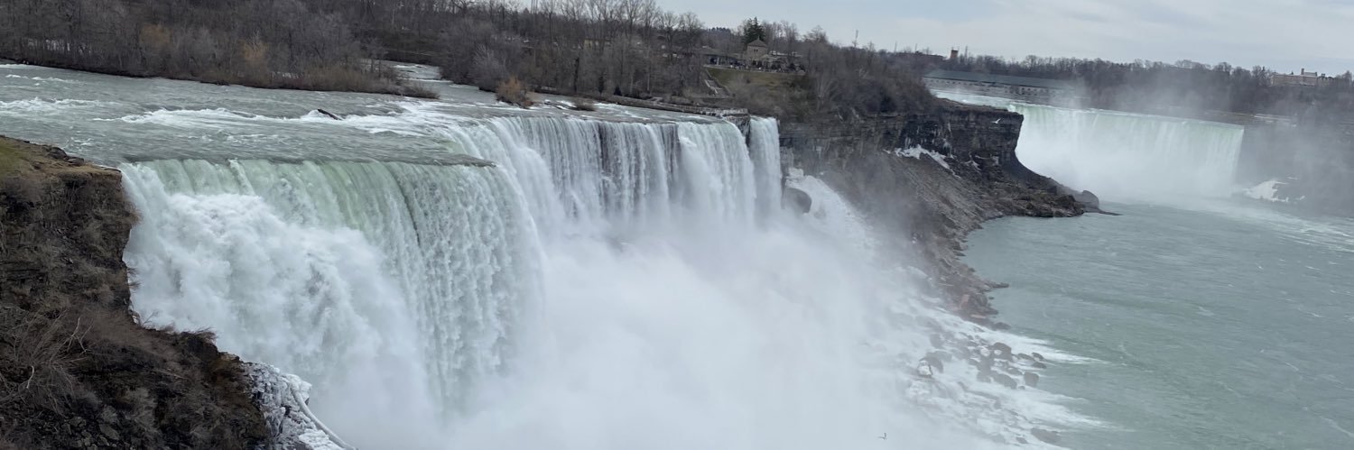 Lilymorseee's profile banner image