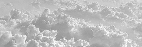 WHOISxann's profile banner image