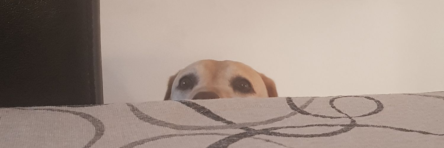 BiancaVall's profile banner image