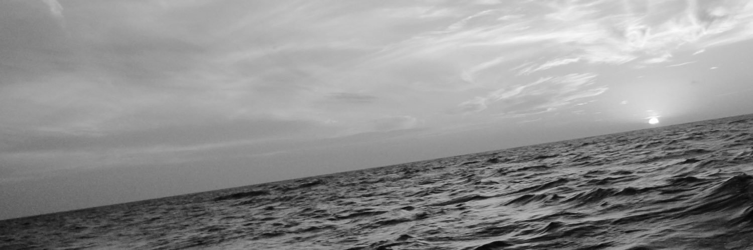 SescLeo's profile banner image