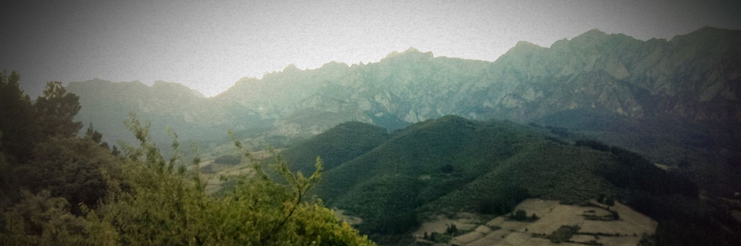 pmsolla's profile banner image