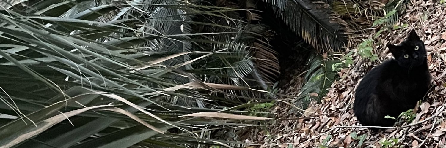 zachking1999's profile banner image