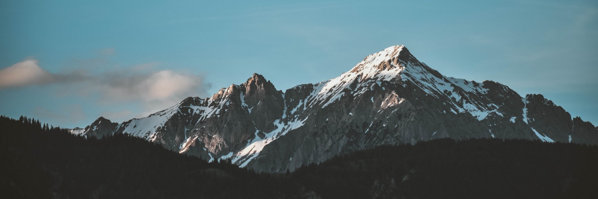 swierwil's profile banner image
