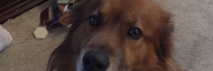 itsderiikk's profile banner image